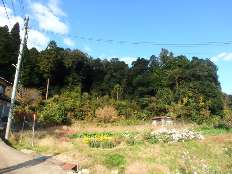 全景（近隣の畑）
