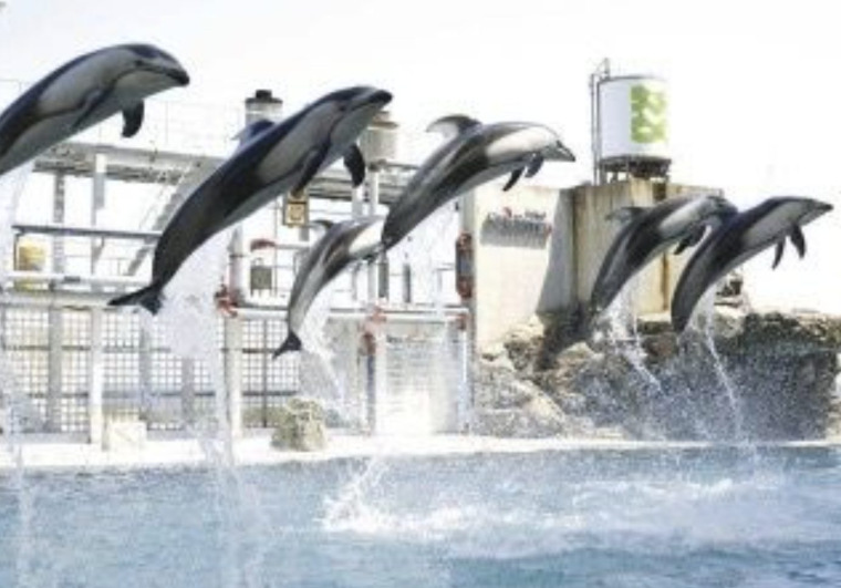 城崎マリンワールド(周辺)