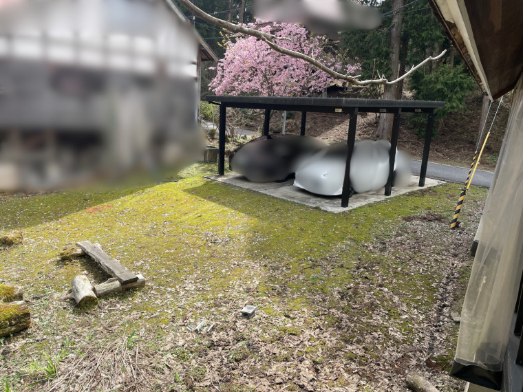 カーポートと桜