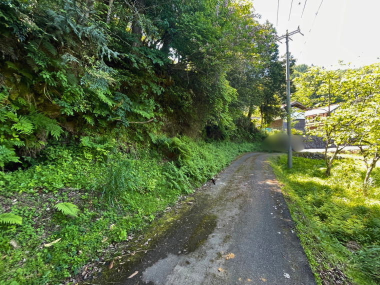 敷地周辺には豊かな自然がいっぱいです。(周辺)
