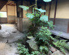 (内装) (内装)
