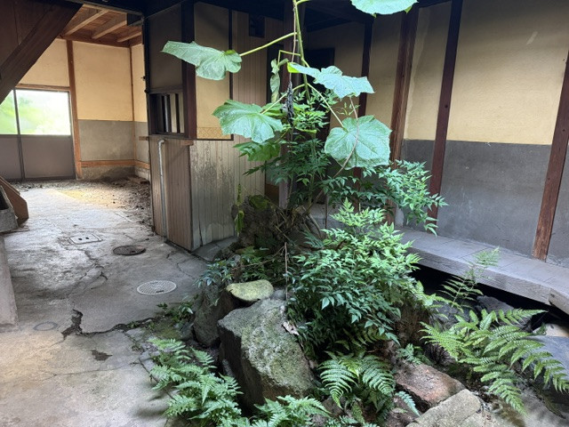 (内装) (内装)