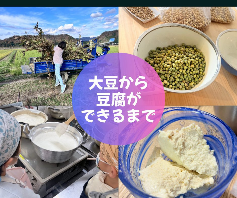 ひと粒の大豆が食卓に並ぶまで～「てまとひまと」大豆体験②③